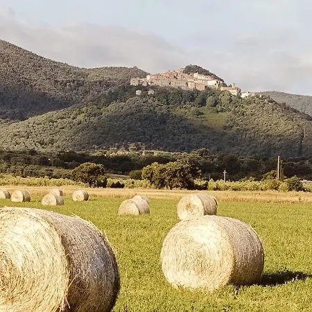 La Casa Di Rotilio E Isella בית נופש Buriano (Grosseto)