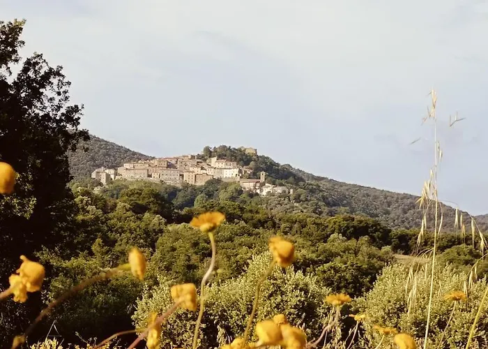 בית נופש La Casa Di Rotilio E Isella Buriano (Grosseto)